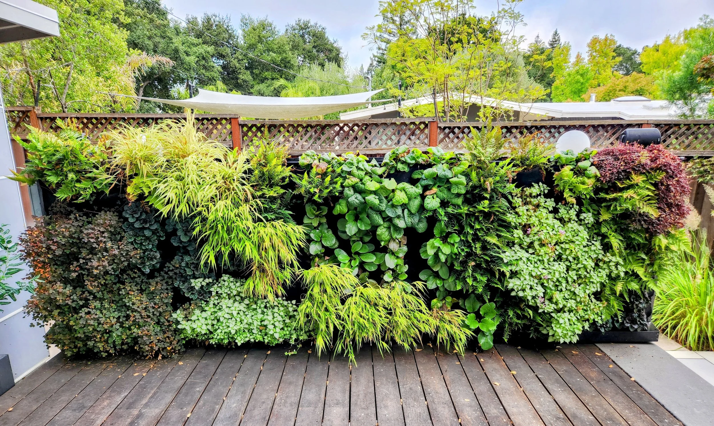 Florafelt Living Wall Design Ideas | Transform Your Space - Get